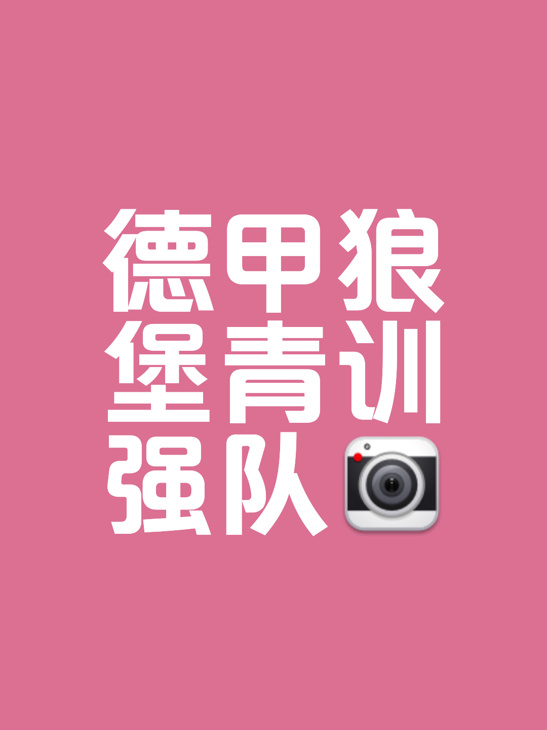 沃尔夫斯堡中场策应紧密,主场领军争胜 沃尔夫斯堡中场策应紧密,主场领军争胜