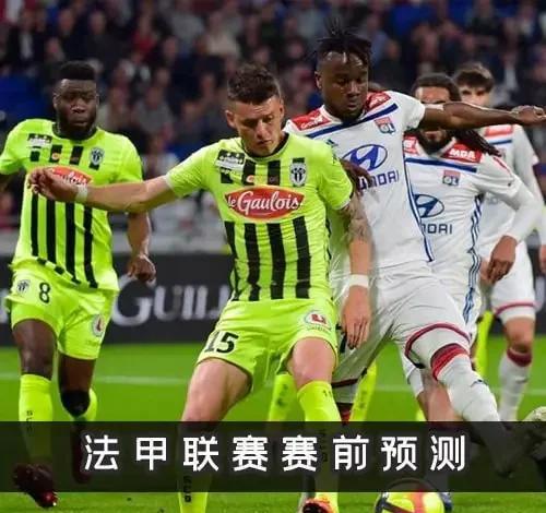 迪尼莫队在主场与图卢兹队较量 迪尼莫队在主场与图卢兹队较量