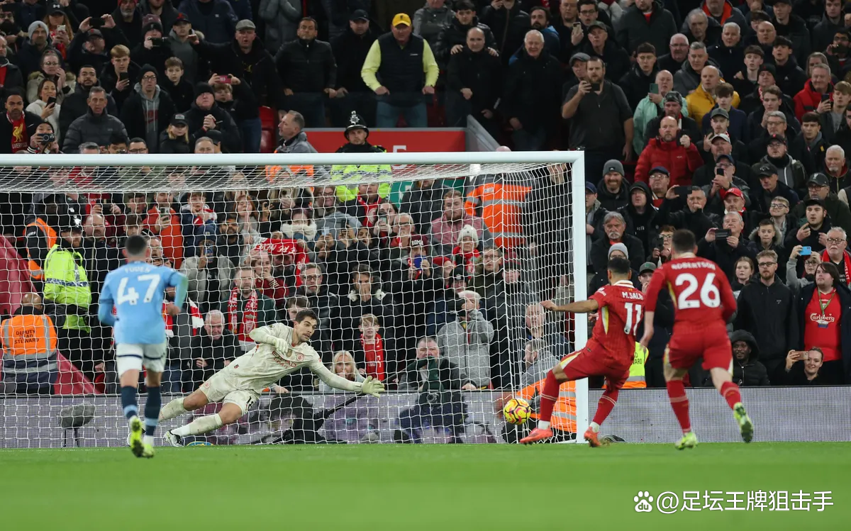 狼队主场战平对手，状态稳定的简单介绍