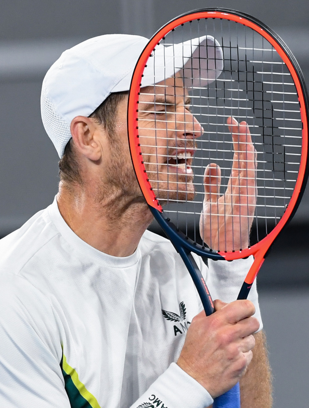 美网轻取戴维斯杯,穆雷点燃赛场 美网轻取戴维斯杯,穆雷点燃赛场